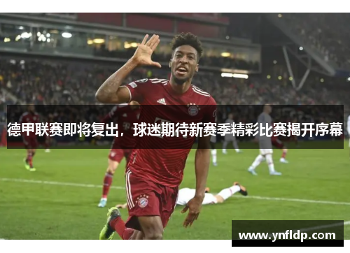 德甲联赛即将复出，球迷期待新赛季精彩比赛揭开序幕